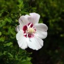 월산농장 이미지