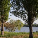 입문용 카메라 Canon EOS 6D 후기: DSLR 카메라 입문과 촬영 기초 정리