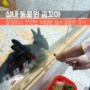 꼬마 마술사A 2 | 하남 곰꼬마 끝판왕 후기｜실내 동물 체험 총정리(토끼·새장·낚시·수업·예매 14,000원)