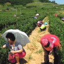 대우아파트 이미지