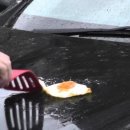 바디채널 대실점 이미지