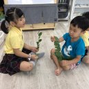 돌돌말아뽀글뽀글 이미지