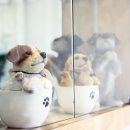 초록빛하루 이미지