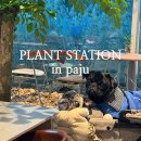 강아지 정거장 | [내돈내산] 파주 롯데아울렛 근처 애견동반 카페 ‘식물정거장’ 방문후기
