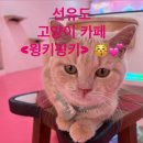 윙키핑키 | 선유도 고양이 카페 &lt;윙키핑키&gt;