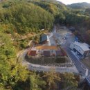 자연속의 펫 이미지