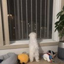 만년YES동물병원 이미지