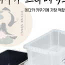 소함아쿠아
