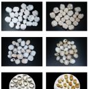 지메덴 바이오 이미지