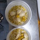 국사랑 옥포점 이미지