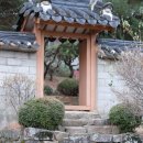 금란자연 이미지