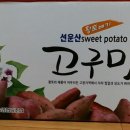 임선규농장 네이버블로그