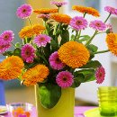 선곡목장 이미지