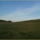 청운식당 이미지