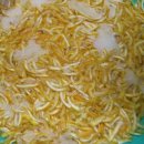 남해우리집 이미지