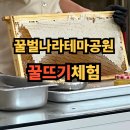 꿀벌나라테마공원 | 칠곡 꿀벌나라테마공원 꿀뜨기체험 후기 (비오는날 아이랑 놀러가기)