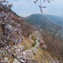 안민 - 김해시 천곡로 159 | 안민