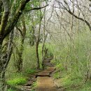 절물자연휴양림 이미지