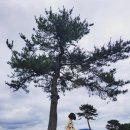 영숙목장 이미지