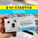 초코약국 이미지