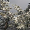 모둘자리 이미지