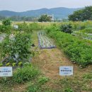 3공단3로-19 이미지