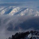 미의온도