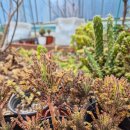 강인한농장 이미지