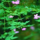 김윤배 카카오 검색결과