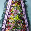 이안도매