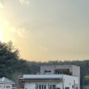 강릉경포물회 이미지