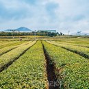(주)현대항공여행사 이미지