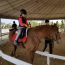 대월초교 이미지