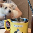 멍화만사성 이미지