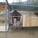 이레캠핑장 이미지