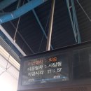G4917 네이버블로그