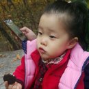 먹보네쌈밥 | 주말일상/수락산 등산/늦가을 느끼기/노원 수락산 맛집 먹보네 쌈밥,솥뚜껑 삼겹살