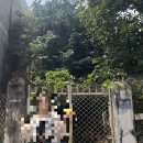(주)로터스블랑 | [벹남] 2일차ㅣ더하이드아웃 카페, 미케비치, 하이랜드, 마사지, ESCO BEACH