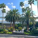 안전카클리닉 | [Jeju 렌트카] 제주도 렌트카 ‘조이렌트카’ 차량인수, 반납, 셔틀버스 이용 총 정리