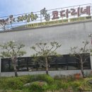 코다리네 | 청주 석곡동 점심 코다리 맛집 자성화코다리네 후기