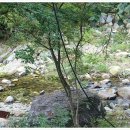 블루버드펜션 이미지