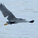 노을해안로 이미지