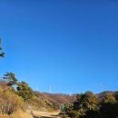 바위 솔 | 퍼블릭 골프장 용인 해솔리아CC 솔 코스 골프라운딩 후기