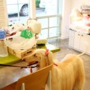 몽스토리 이미지