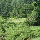 금강농장 이미지