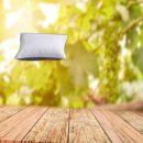 데이데이 이미지