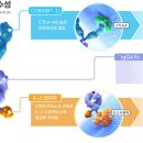 지아이이노베이션(GI Innovation) 면역항암제 미국 식품의약국(FDA) 시험계획(IND) 승인 이미지