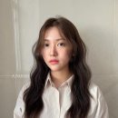 레인헤어 네이버블로그