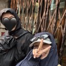 (주)시드니램하우스 | Honey 9. 시드니 악천후 셋째날 (오페라하우스, 타롱가주...)