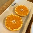 더(The) 미주농원 120 이미지